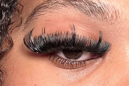 222 Signature Spike - Handmade Custom Strips